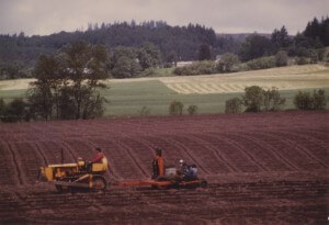 Summer_plowing Oak Grove_1983